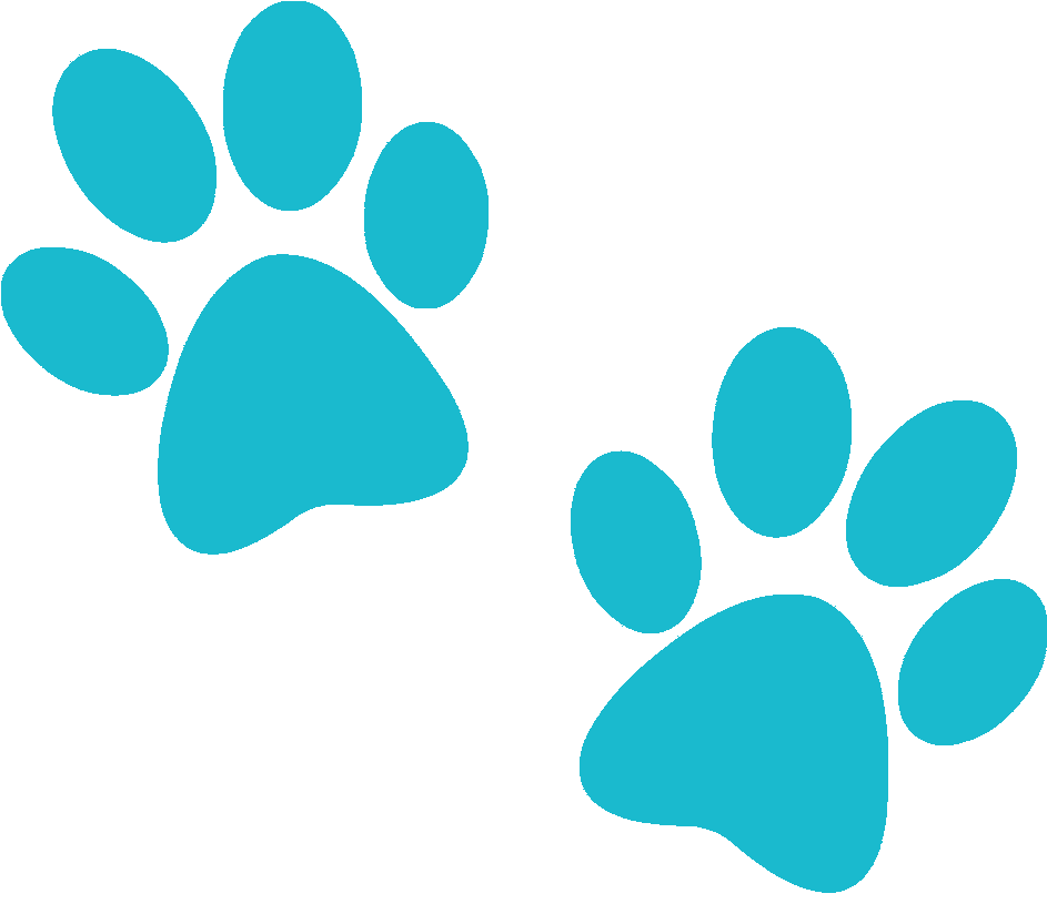 Newsletter - Dog Paw Print Clip Art (1000x1000)