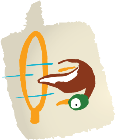 Pato - Argentina - Argentina Pato With A Duck (378x474)