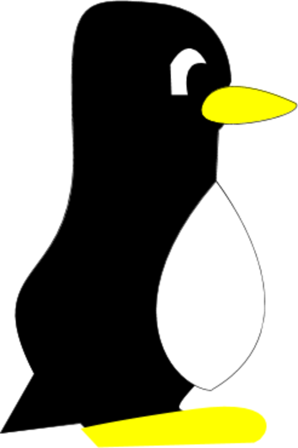 Penguin Cartoon Standing Profile - Penguin Cartoon Side View (600x902)