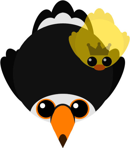 Toucan - Cartoon (480x480)