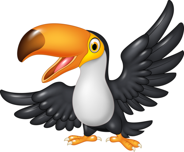 Toucan Bird Image - Cartoon Toucan (800x656)