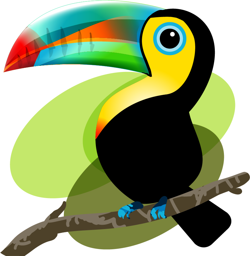 Iquitos Bird Baby Toucan - Tucan Dibujo Png (1000x1000)