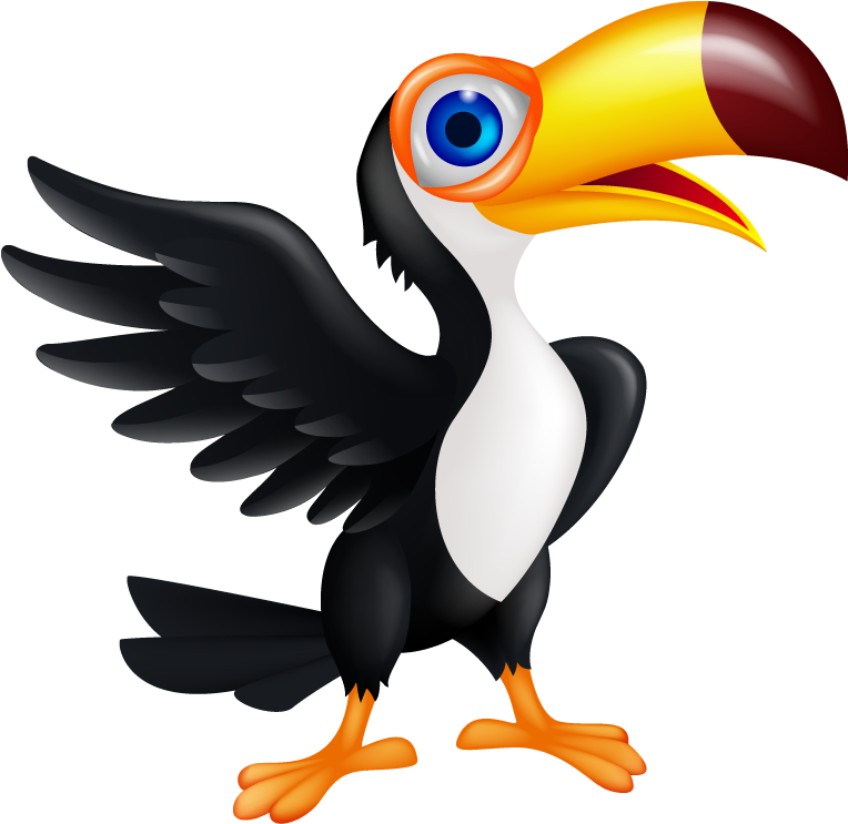 Suivant - Tucan Dibujo Png (800x800)