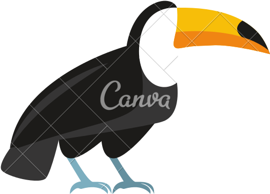Cartoon Toucan - Use Canva Like A Pro (550x550)