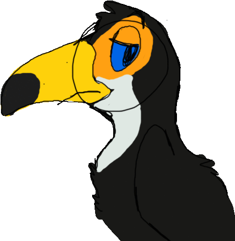 Toucan By Rat-paws - Hornbill (774x600)