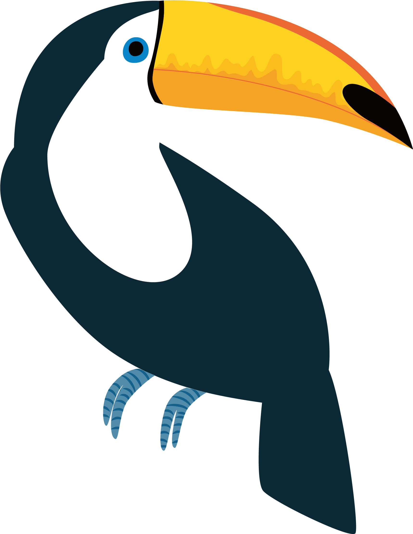 Toucan Vector - Toucan Bird Vector (1780x2265)