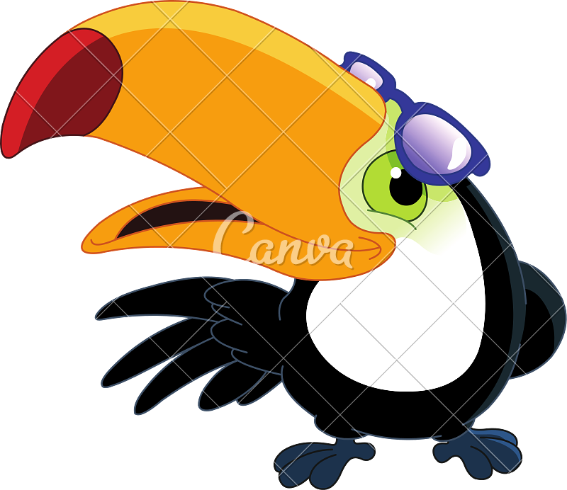 Cartoon Toucan - Rio Birds Coloring Book (800x692)