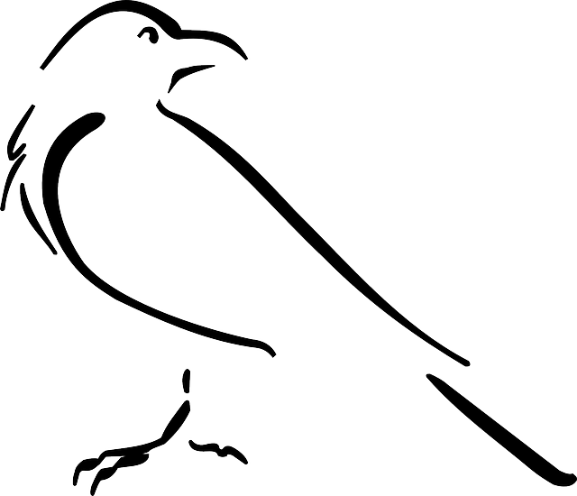 Free Image On Pixabay Crow Bird Outline Drawing Crows - Crow Outline (640x550)