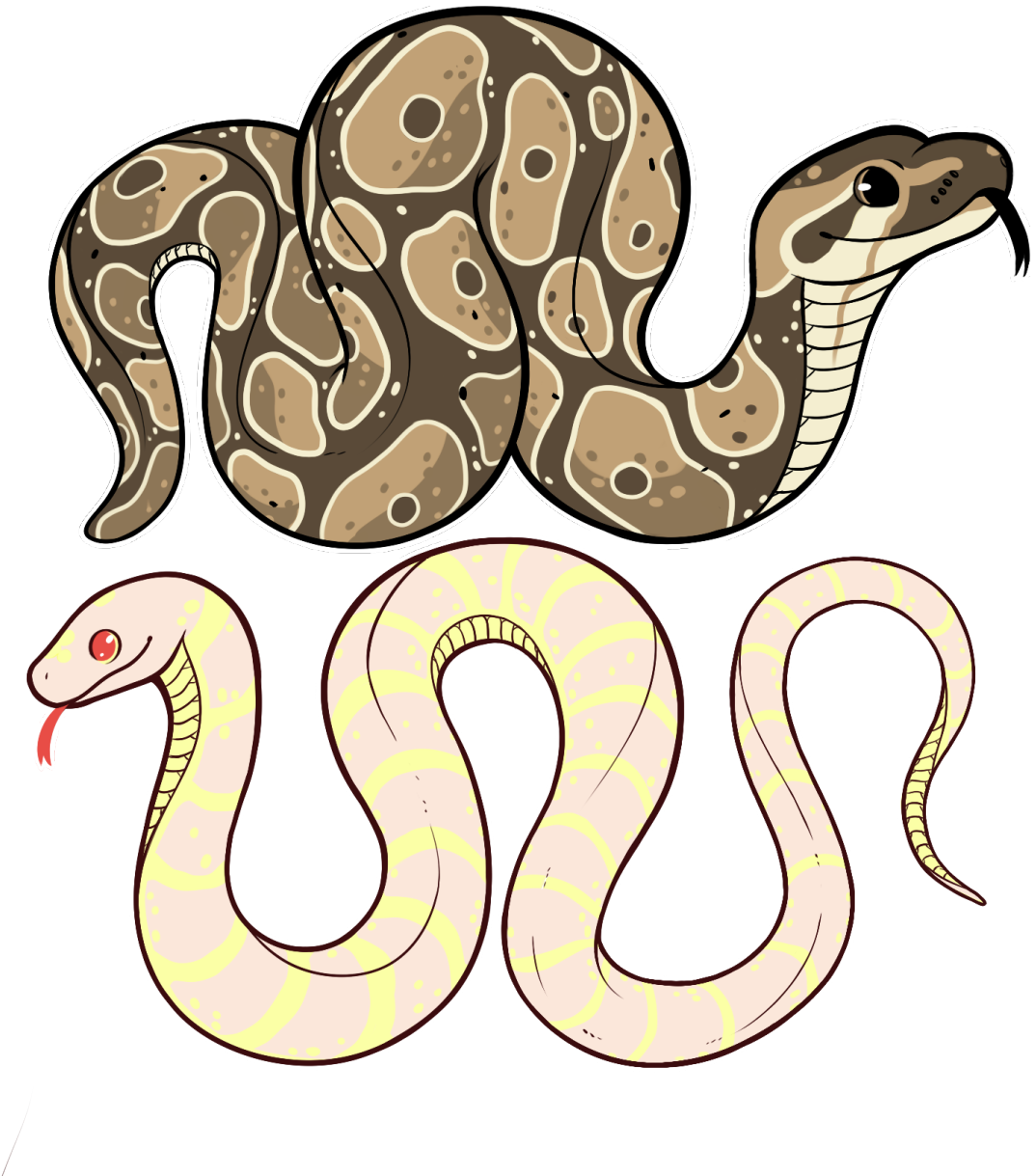 Snakes Are Cute - Snake Tumblr Art (1280x1280)