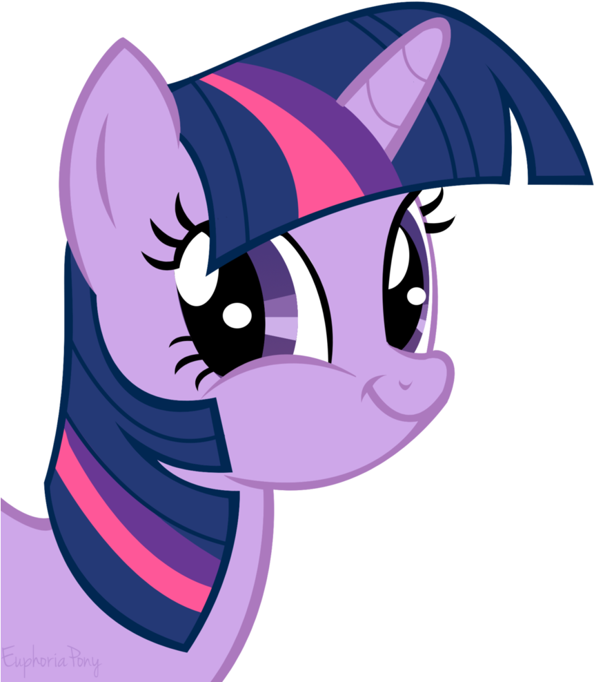 Euphoriapony, Face, Faic, Funny Face, Meme, Meme Face, - Twilight Sparkle Friendship Is Witchcraft Face (919x1024)