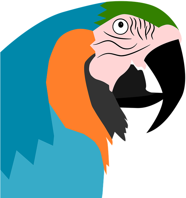Parrot Clipart Wild Bird - Parrot Clipart Wild Bird (720x720)