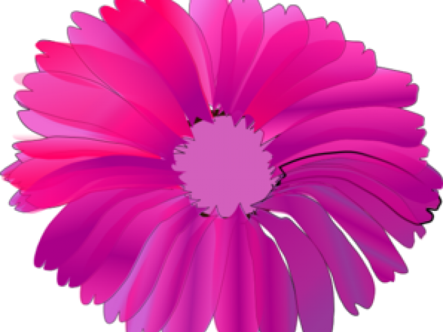 Pink Flower Clipart Transparent Background - Pink Flower Clip Art (640x480)