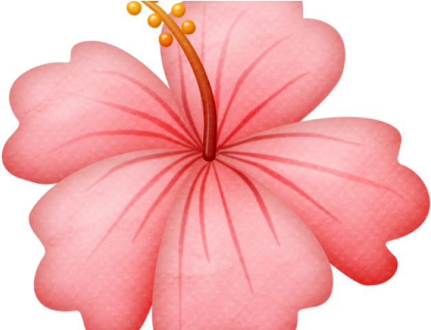 Pink Flower Clipart Beach - Hawaii Flowers Clipart (640x480)