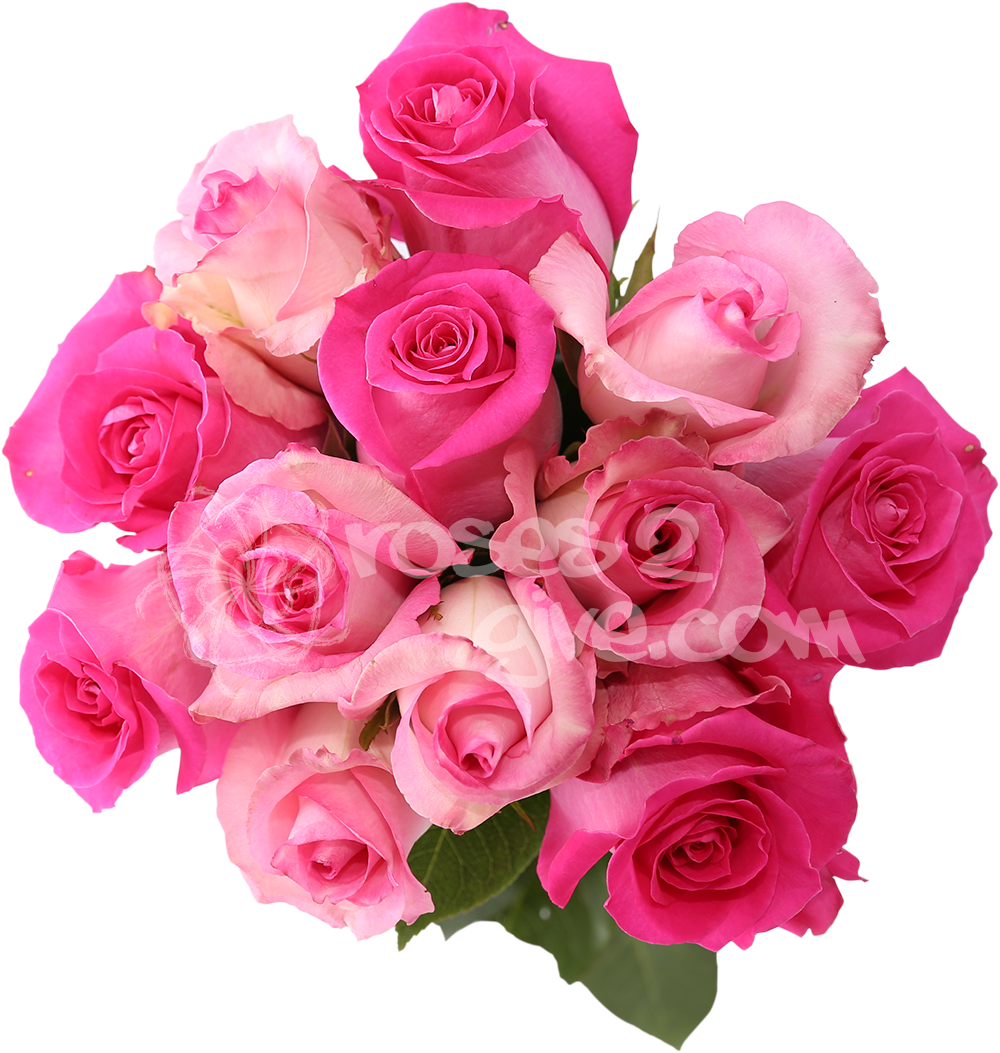 View Similar Products > - Red And Pink Rose Combination (1000x1053)