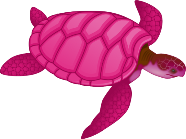 Preppy Sea Turtle Clip Art, Preppy Pink Sea Urchin - Sea Turtle Clip Art (600x451)