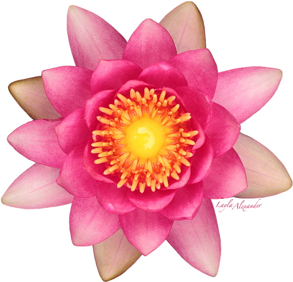 Click And Drag To Re-position The Image, If Desired - Fine-art Photography (600x579)