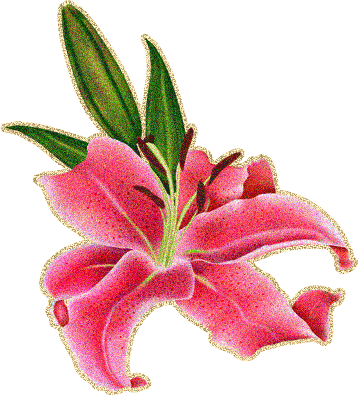 Розовая Лилия - Zazzle Platte-rosa Plastiklilien Teller (358x395)