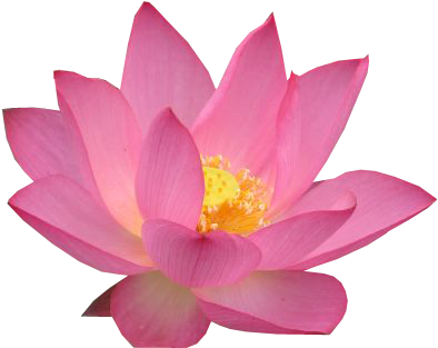 15 - Sacred Lotus (426x346)