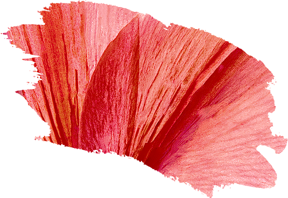 Lily - Lily (575x395)