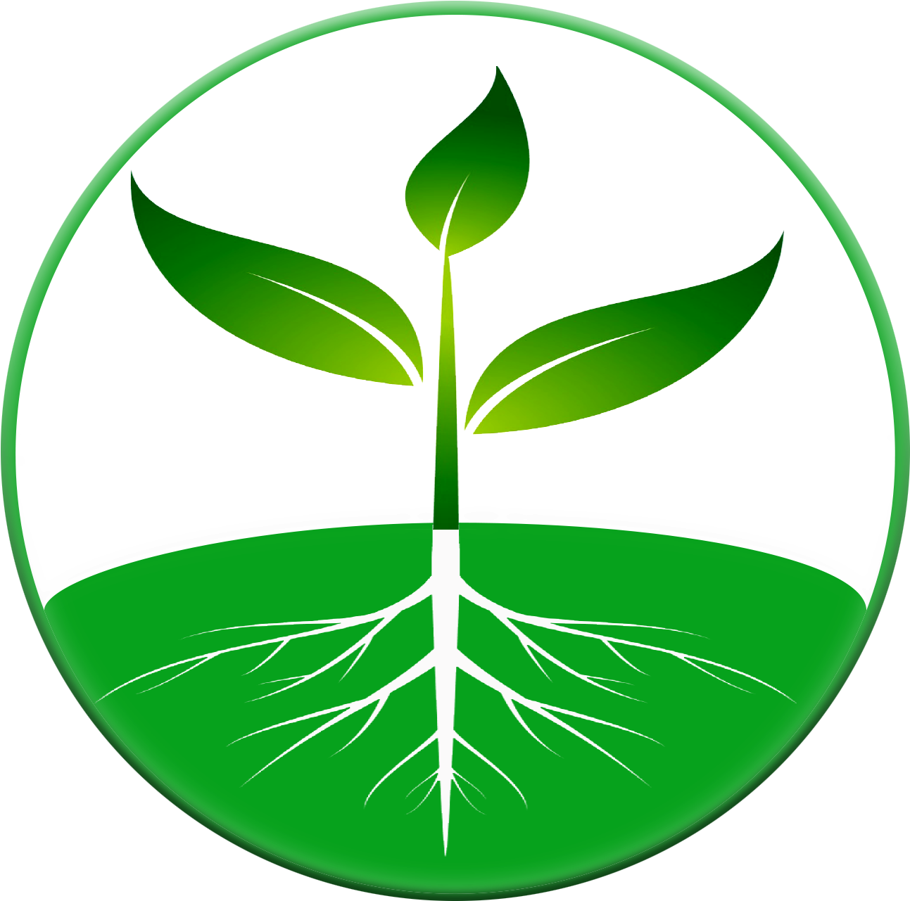 Site By - - Emblem (1456x1463)