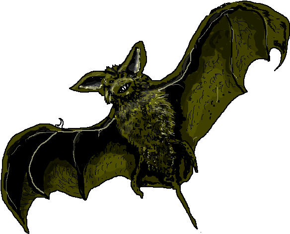 Free To Use & Public Domain Bat Clip Art - Realistic Bat Clipart (600x600)
