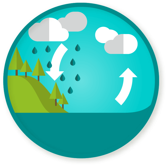 Wittywe - Transparent Water Cycle (690x690)