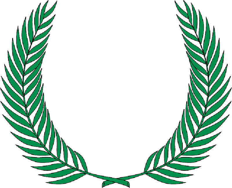 Plants, Leaf, Ribbon, Plant, Bush, Award, Stem - Fern Clipart Png (800x650)