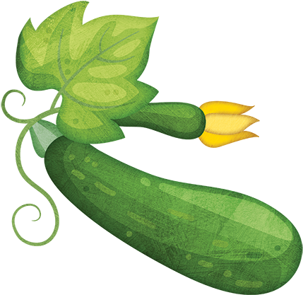 Courgette - Zucchini (500x500)