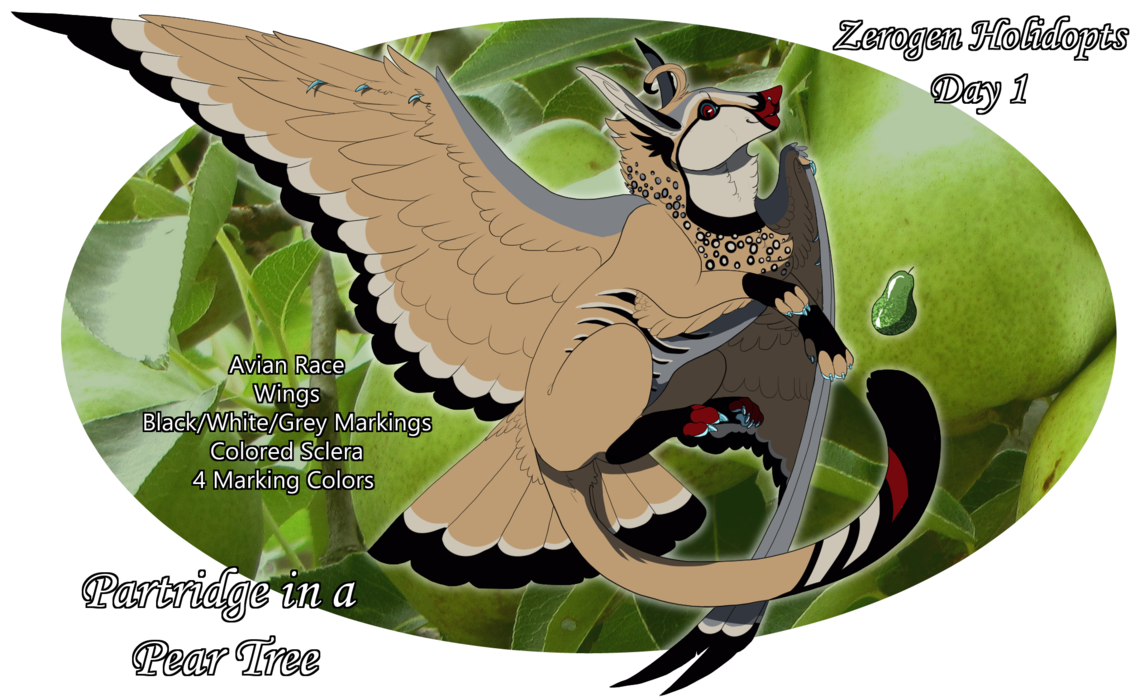 Zerogen Holidopts Day - Killdeer (1144x698)