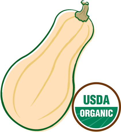 Organic Winter Squash - Usda Organic (500x500)