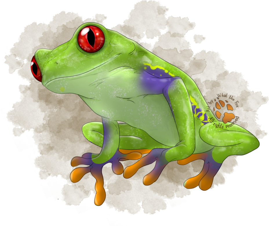 Green Tree Frog By Artbywhatthefox - American Green Tree Frog (959x832)