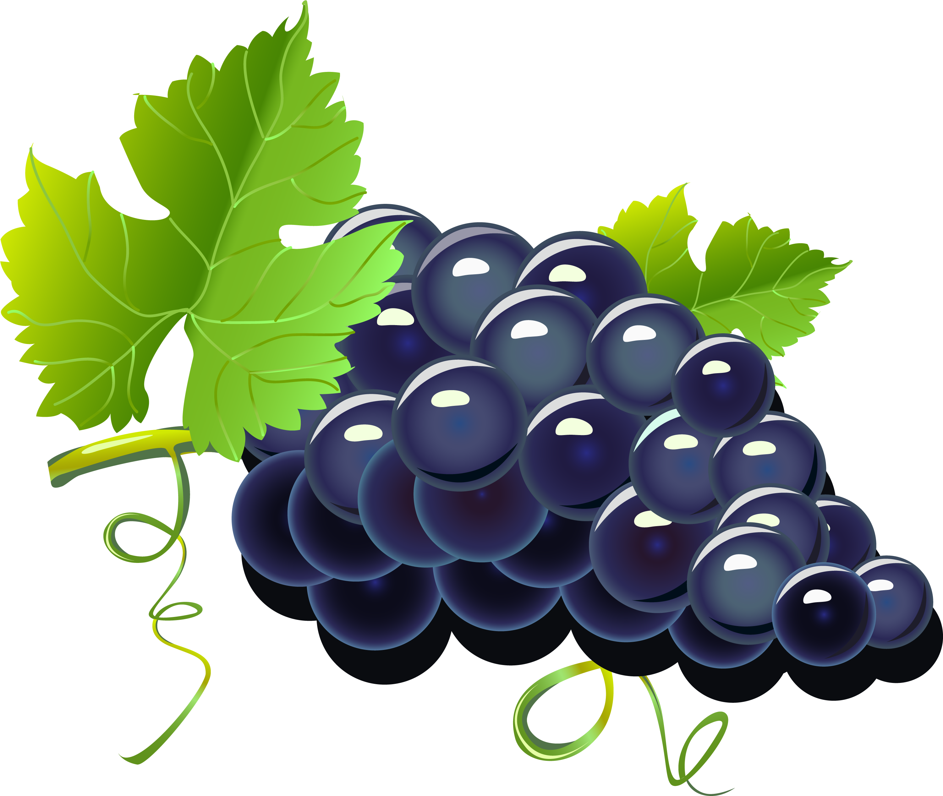 Red Wine Grape Cartoon - Grapes Png (3001x2534)