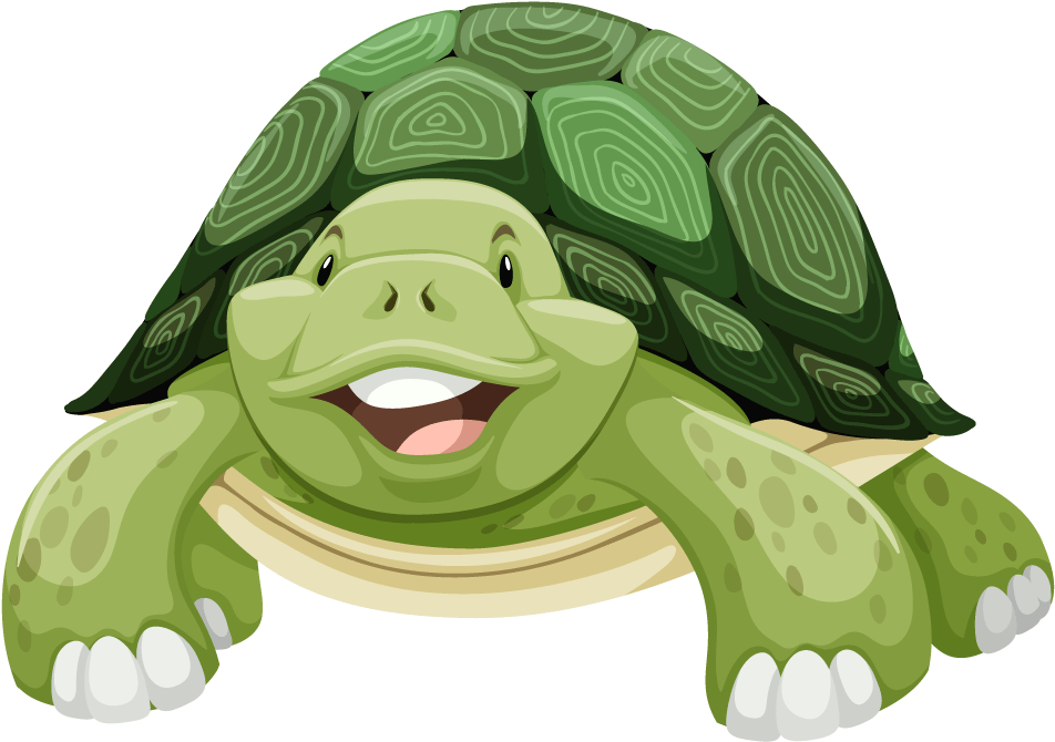 Sea Turtle Clip Art - Niña Abrazando A Una Tortuga (1010x1010)