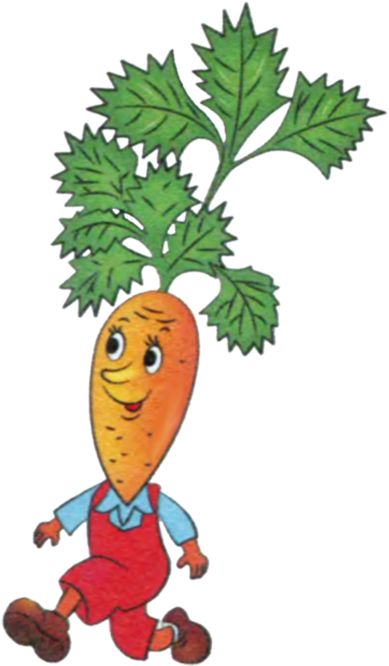 Fruits Et Legumes - Морковь Рисунки (800x1353)