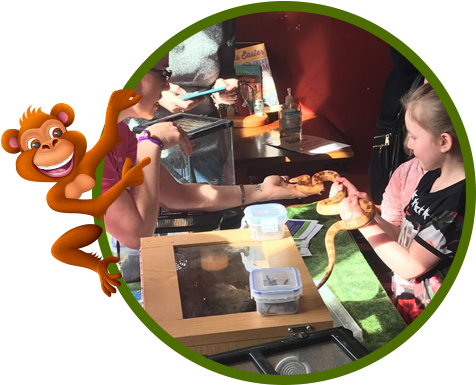 Educational School Visits - School (504x426)