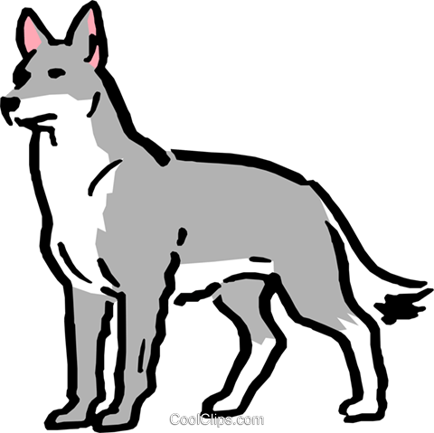 Wolf Clipart Clip Art - Gray Wolf Clipart (480x479)