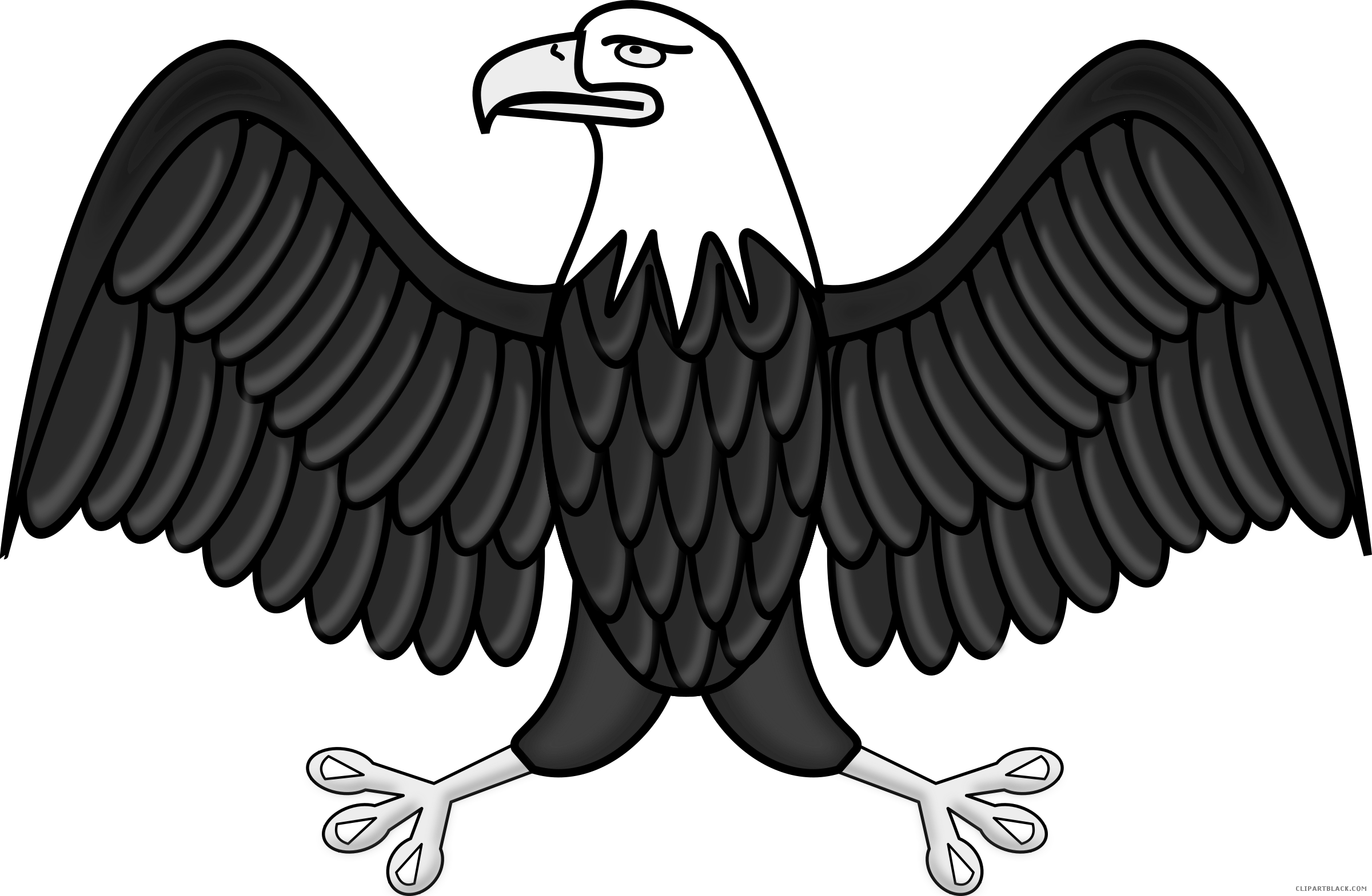 Bald Eagle Animal Free Black White Clipart Images Clipartblack - Eggale Png Clip Arts (2400x1569)
