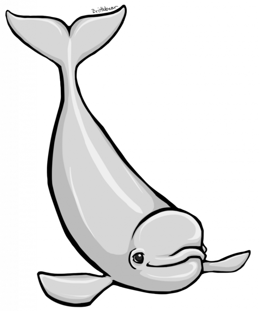 Special Shapes Templates To Cut Out Of Winter Shape - Cartoon Beluga Whale (857x1024)