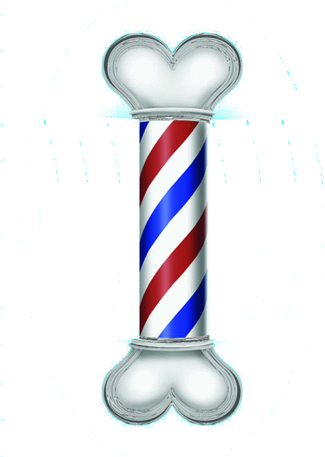 Dog Grooming And Spa Services - Clip Art Dog Grooming (497x768)