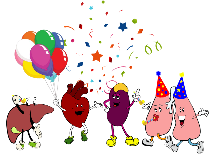 Refreshments Provided And Parking Available Onsite - Research (1024x819)