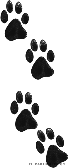 Lion Footprint Clipart Lion Footprint Animal Free Black - Dog Licks (232x568)