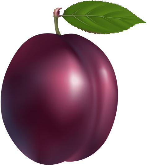 Free Png Plum Png Images Transparent - Plum Clipart Png (480x541)