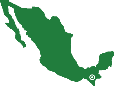 Mexiconew2 - Imagenes De Mexico Animado (446x384)