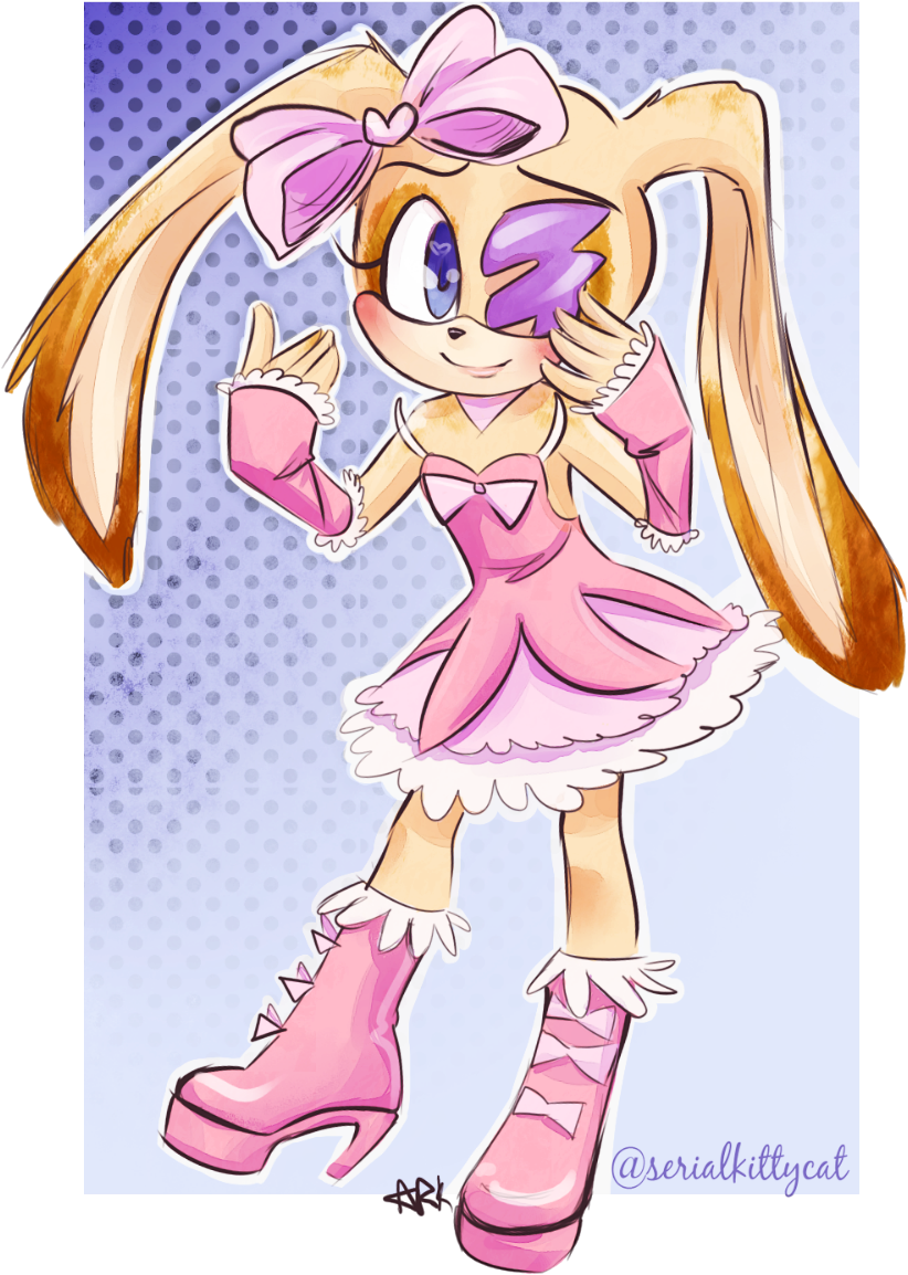 Shadow The Hedgehog Clothing Cartoon Pink Footwear - Hedgehog (1000x1333)