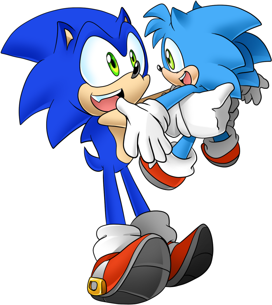 Sonic The Hedgehog Rouge The Bat Amy Rose Sonic Heroes - Sonic The Hedgehog Monty (1024x1245)