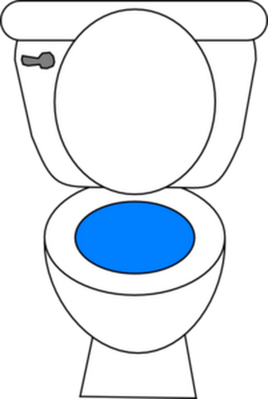 Place A Few Drops Of Food Coloring In The Rear Tank, - Clipart Of A Toilet (530x788)