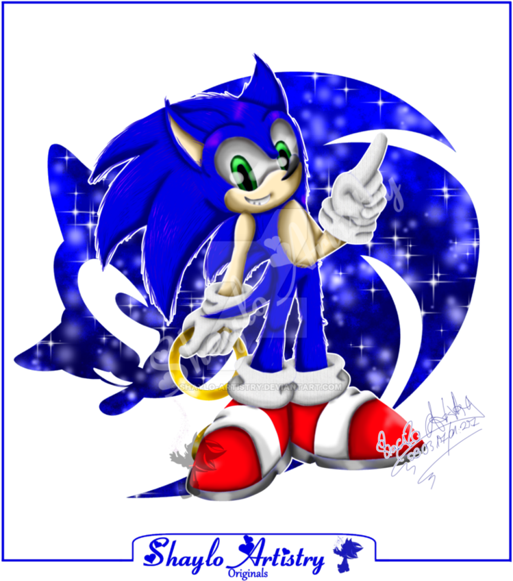 Sonic The Hedgehog 3d Style By Shaylo-artistry - Sonic X (852x938)