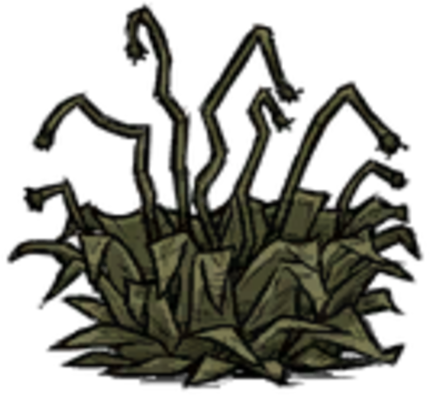 Juicy Berry Bush Withered - Juicy Berry Bush Don T Starve Together (430x395)