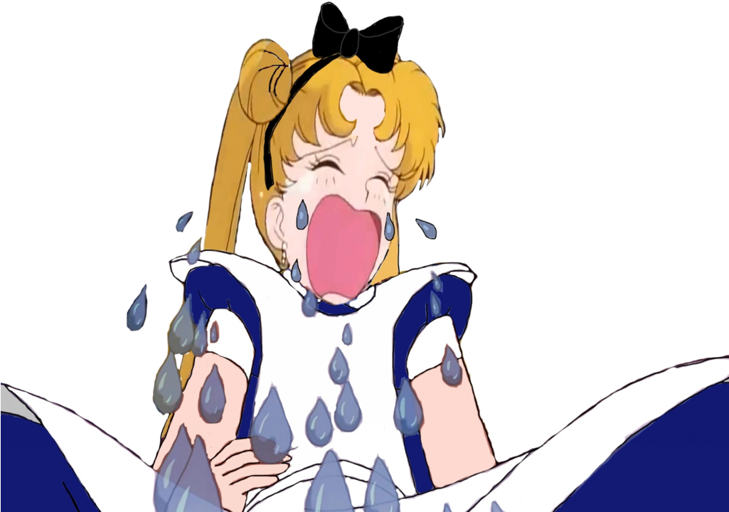 Serena As Alice Crying By Darthranner83 - Serena Crying Sailor Moon (1024x777)