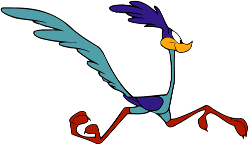 Roadrunner Clip Art - Road Runner (510x353)